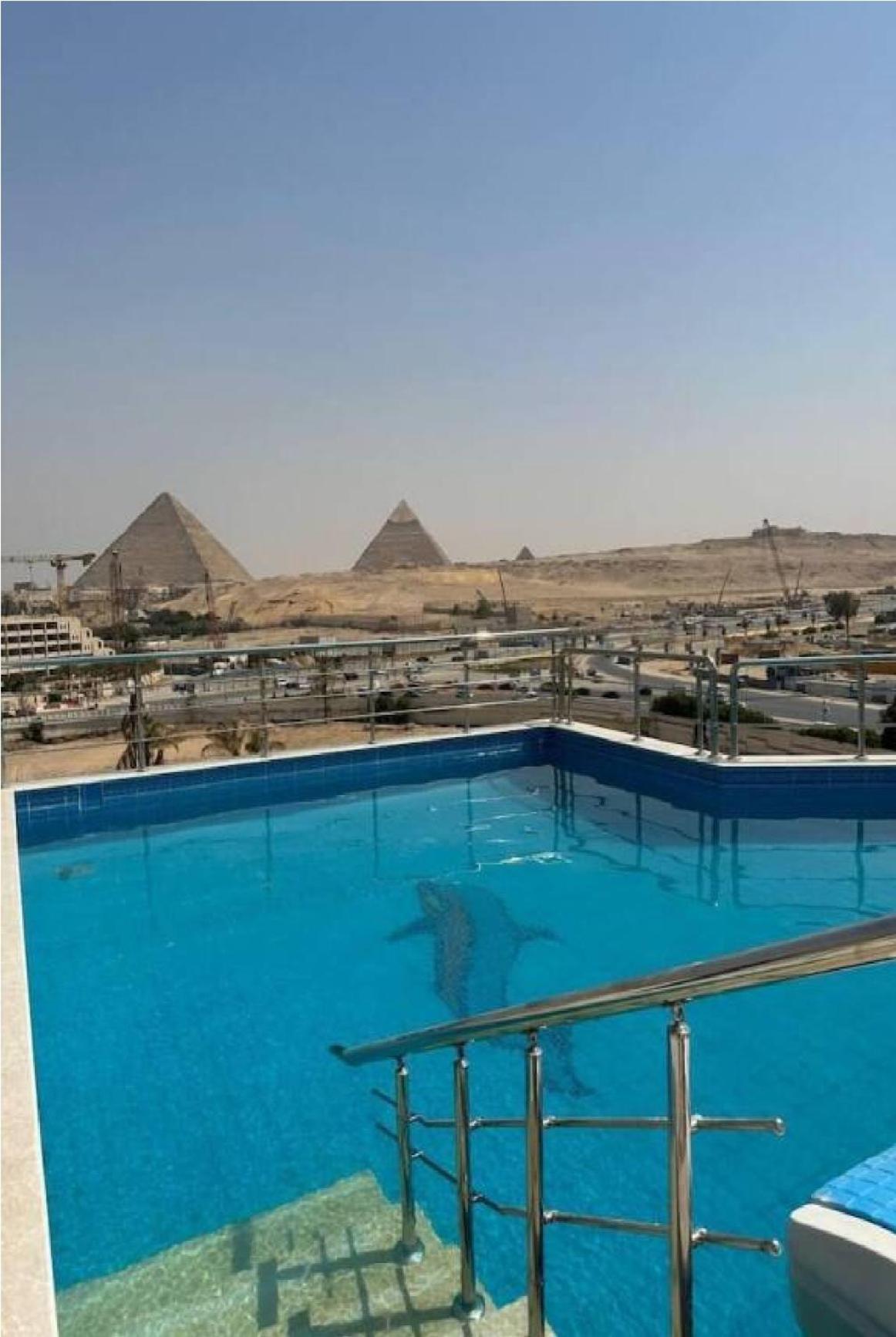 Al Fouad Pyramids View Hotel Kairo Eksteriør billede